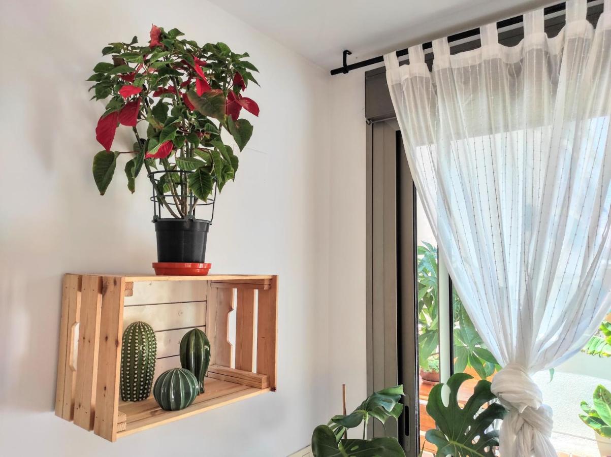Manuela Nogales Apartments! Málaga Kültér fotó